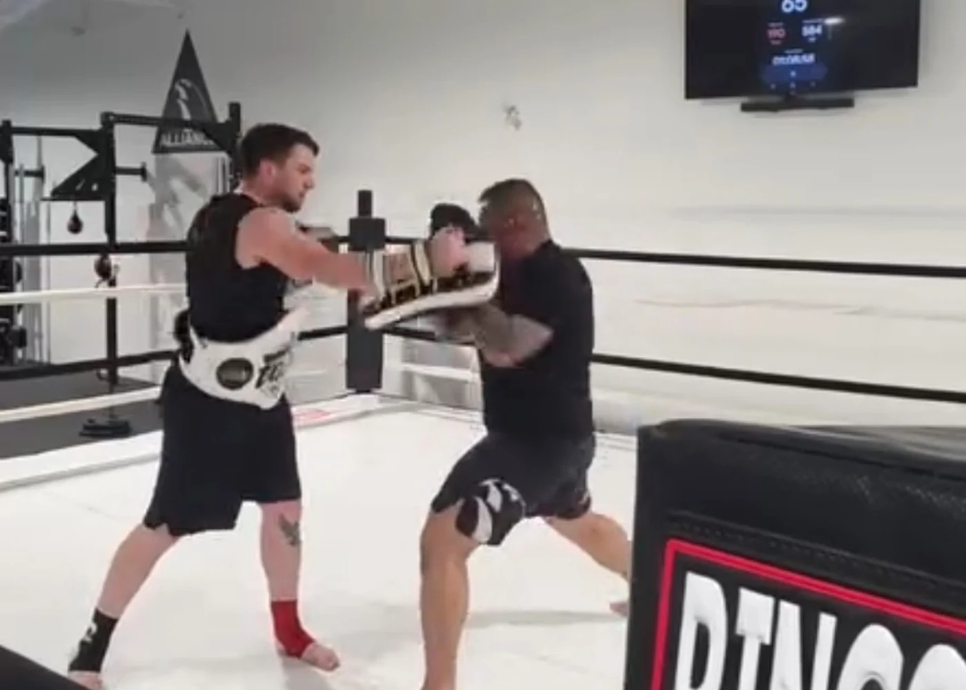 Coach Tony working boxing combinations with a client in the ring